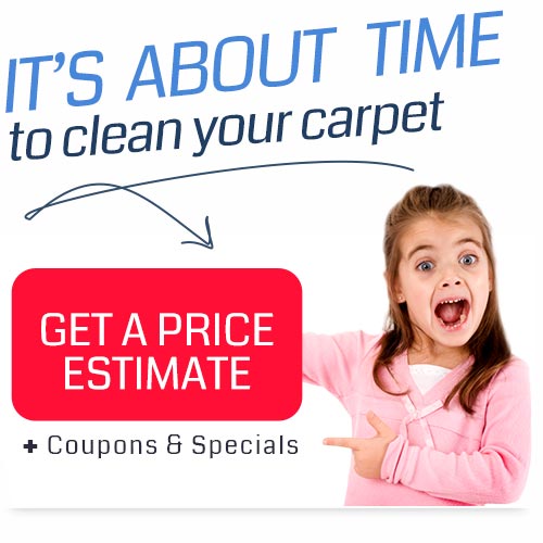 Cleaning Special Offers